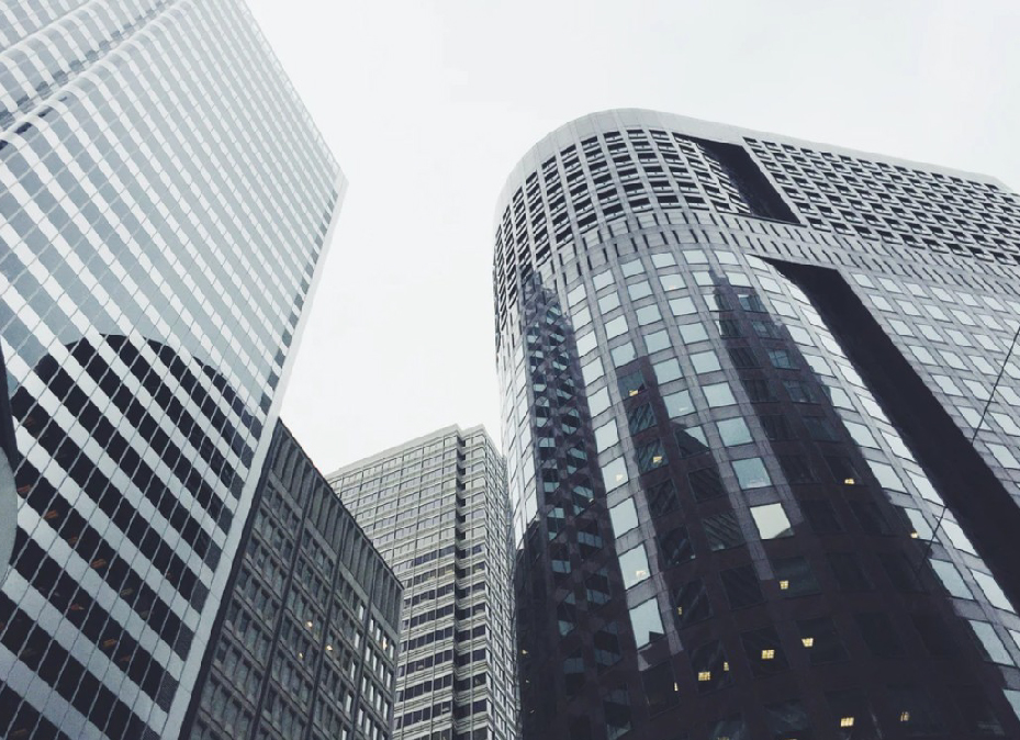 Establishing companies